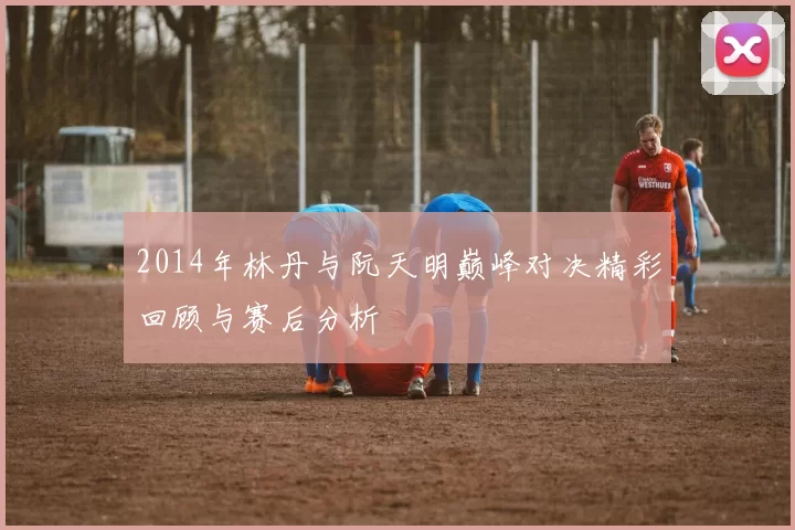 2014年林丹与阮天明巅峰对决精彩回顾与赛后分析