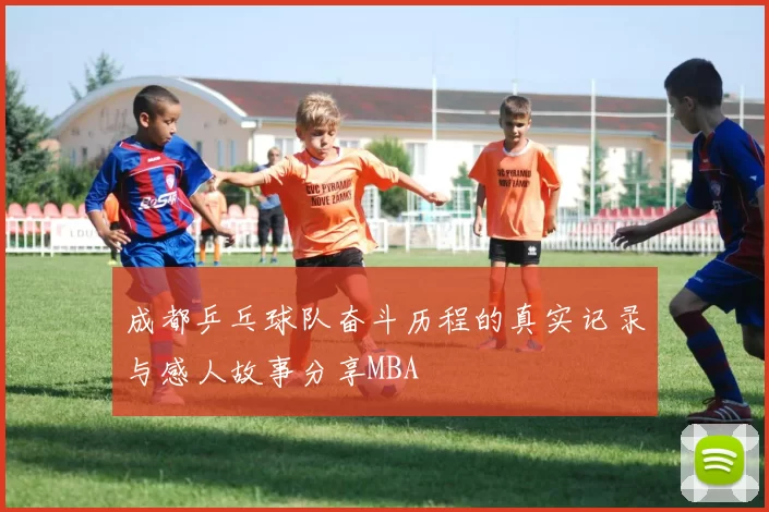 成都乒乓球队奋斗历程的真实记录与感人故事分享MBA