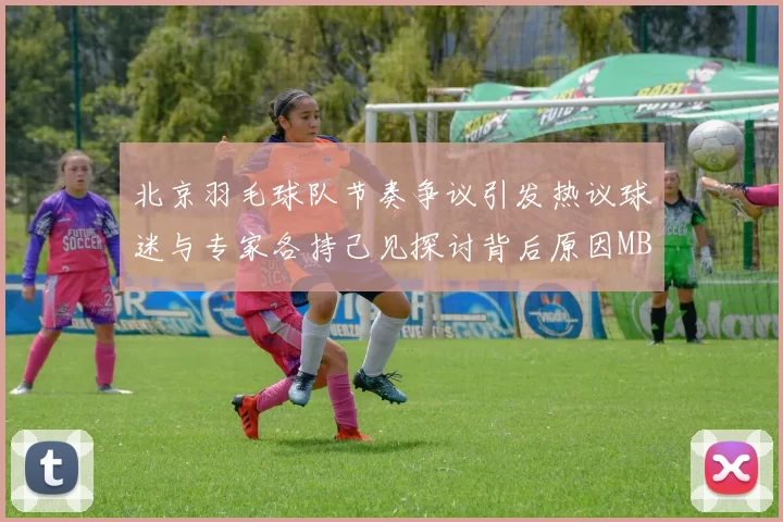 北京羽毛球队节奏争议引发热议球迷与专家各持己见探讨背后原因MBA