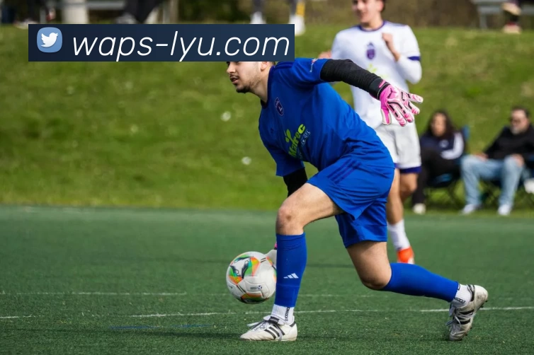 乐鱼平台品牌故事