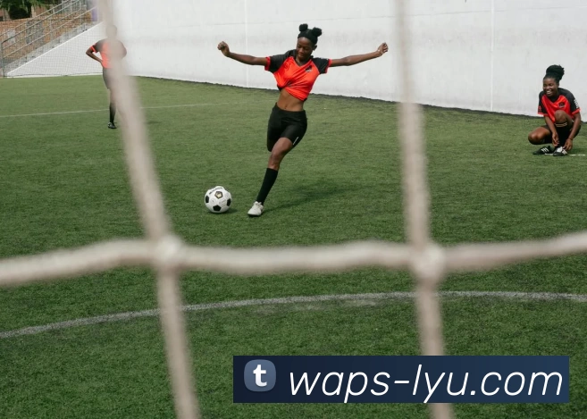 乐鱼平台服务体系