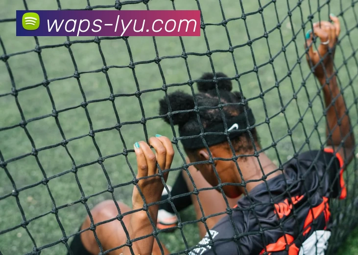 App Interface Preview